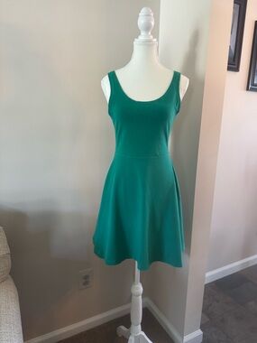 Express Green Scoop Neck Fit-and-Flare Mini Dress